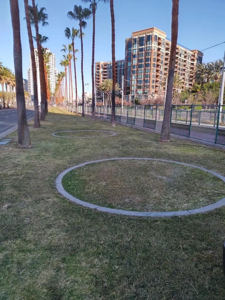 Palm-lined median with maintained turf downtown